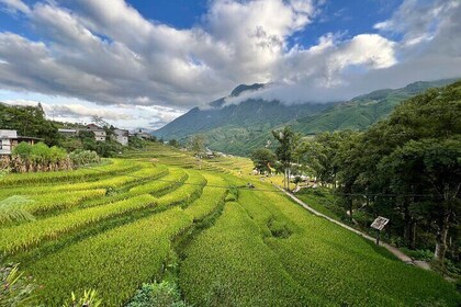 3-Day Trekking Tour in Ta Van Village Sapa