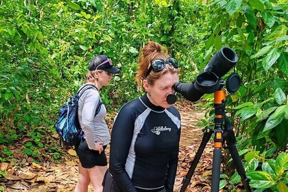 Discover Cahuita National Park Tour