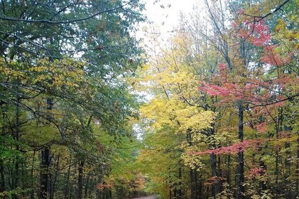 Autumn in Acadia National Park Private Leaf Peeper Driving Tour