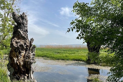 Beyond Lebanon’s Phoenician Heritage