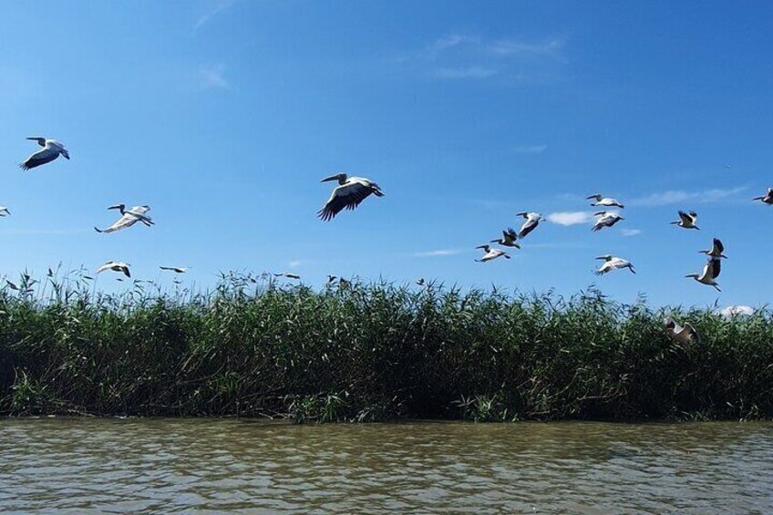 Danube Delta and Black See - 2 Days Private Tour from Bucharest