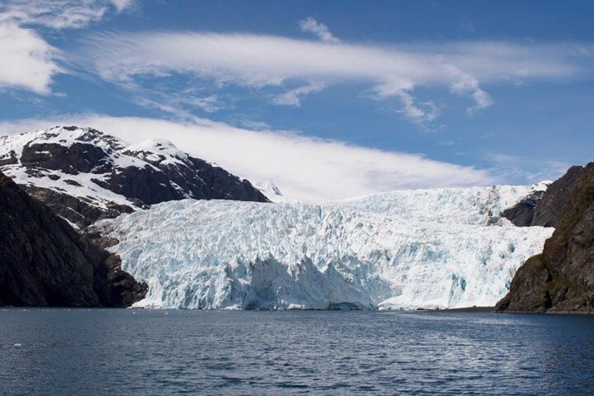 Kenai Fjords National Park Glacier & Wildlife Cruise