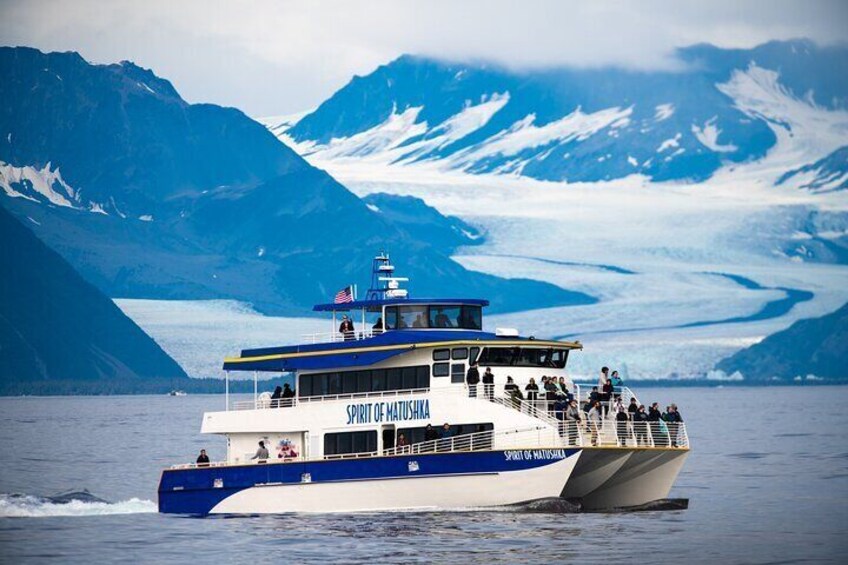 Resurrection Bay Spring Wildlife Cruise