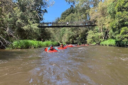 Self-Guided River Sledding Adventure on the Yarra River