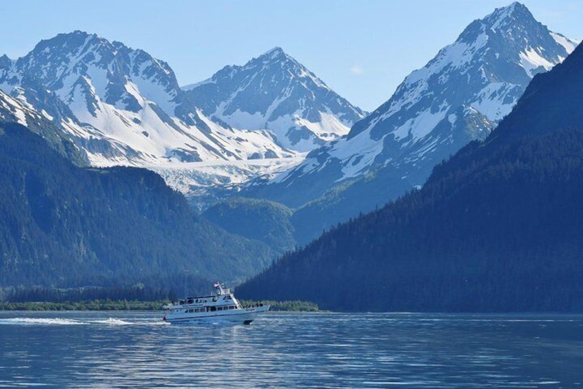 Kenai Fjords and Resurrection Bay Half-Day Wildlife Cruise