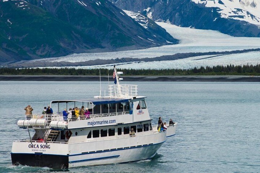 Kenai Fjords and Resurrection Bay Half-Day Wildlife Cruise