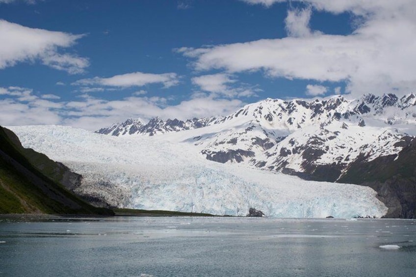 Full-Day Kenai Fjords National Park Cruise