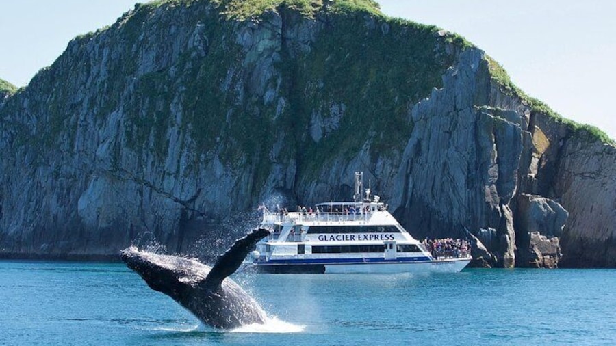Full-Day Kenai Fjords National Park Cruise