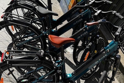 Cycling along Douro River Shared Tour