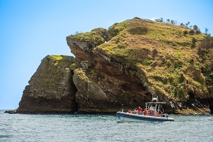 Islet Tour – Boat Trip Around the Ilhéu de Vila Franca