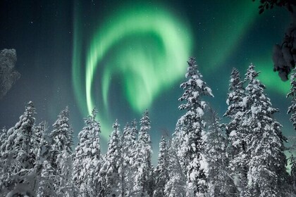 Northern Lights by Van