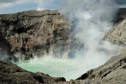 Kumamoto Castle Suizenji Garden and Aso Full-Day Tour Option