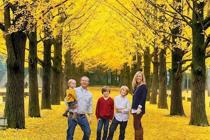 Nami, Petite France, Italian Village and Gangchon Rail Bike Tour