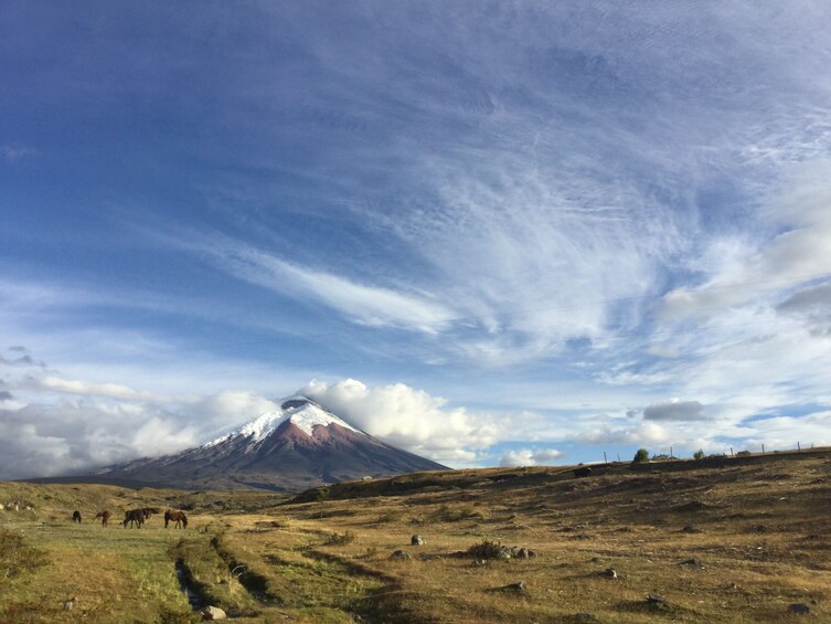 Private Cotopaxi Volcano Full Day Tour from Quito
