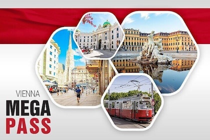 Vienna MegaCombo Tickets Schönbrunn, Sisi &Transport and Old Town