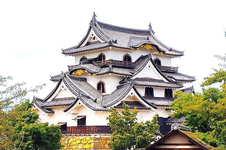 Shiga: Guided Hikone Castle Experience with Samurai Heritage