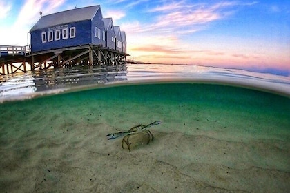 2 Hour Scenic Busselton Jetty Sunset Cruise Swim or Relax