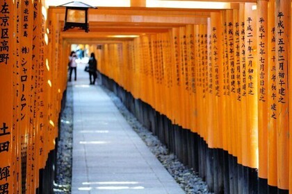 Private Shore Excursion: Kyoto highlights from Osaka/Kobe Port