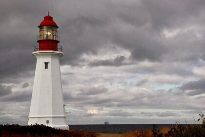 Harbor Highlights: Sydney City Tour