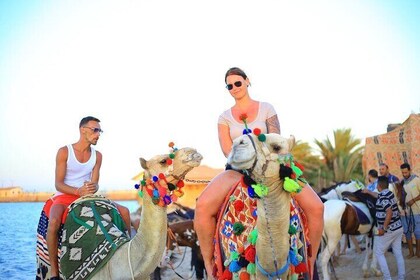 La Tenda Hurghada Arabian Nights Show with Dinner Folklore