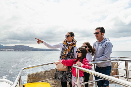 Los Cristianos: crucero ecológico para avistar ballenas en yate con baño