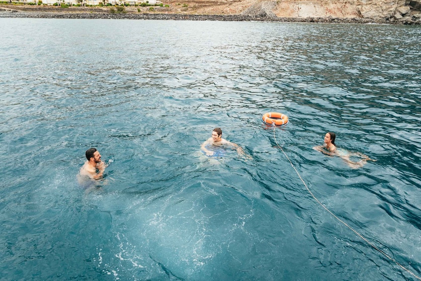 Picture 10 for Activity Los Cristianos: Eco-Yacht Whale Watching Cruise with Swim