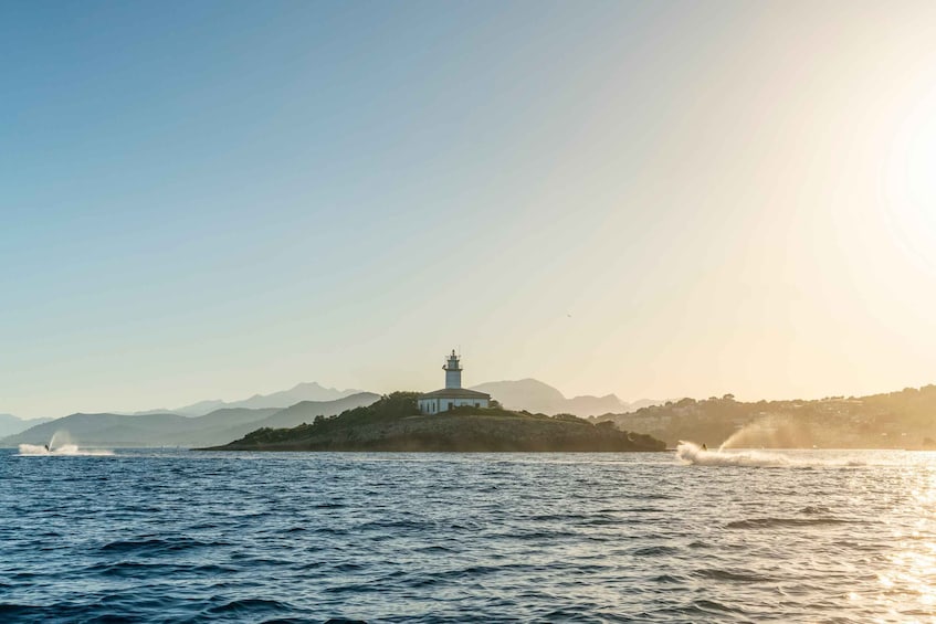 Picture 29 for Activity Mallorca: Coll Baix and Alcudia Bay Jet Ski Tour