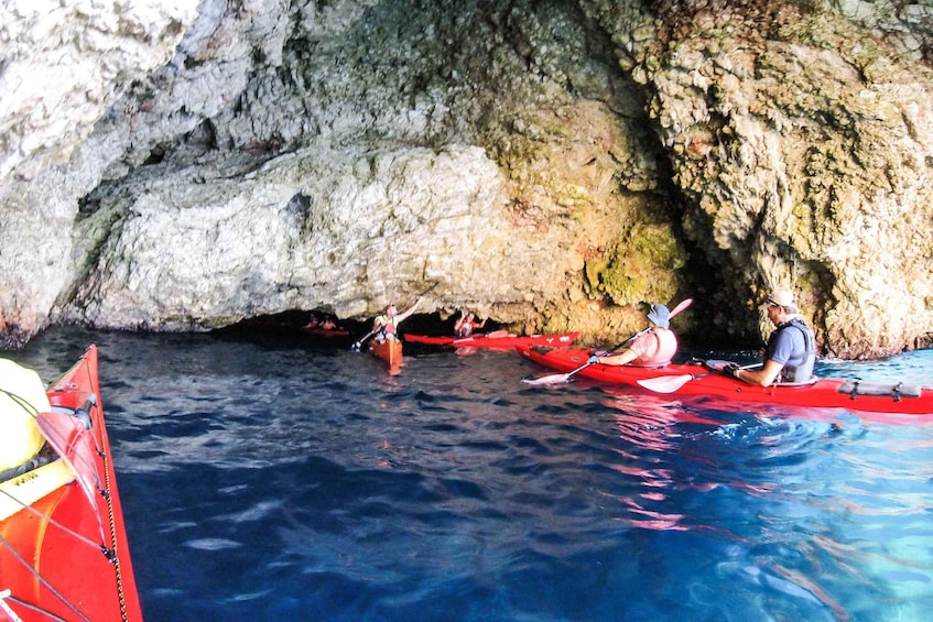 Picture 23 for Activity Lefkada: Blue Cave Kayak Tour with a Taste of Greece