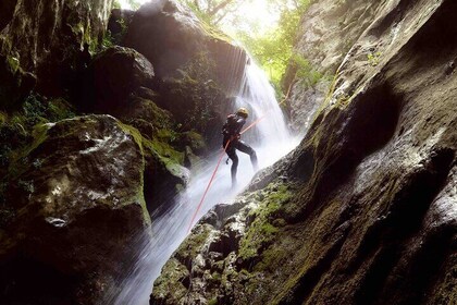 2-Hours Beginner Canyoning in North Bali (Pickup, GoPro, Lunch)
