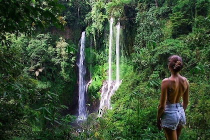 North Bali Tour with Twin Waterfalls and Temple