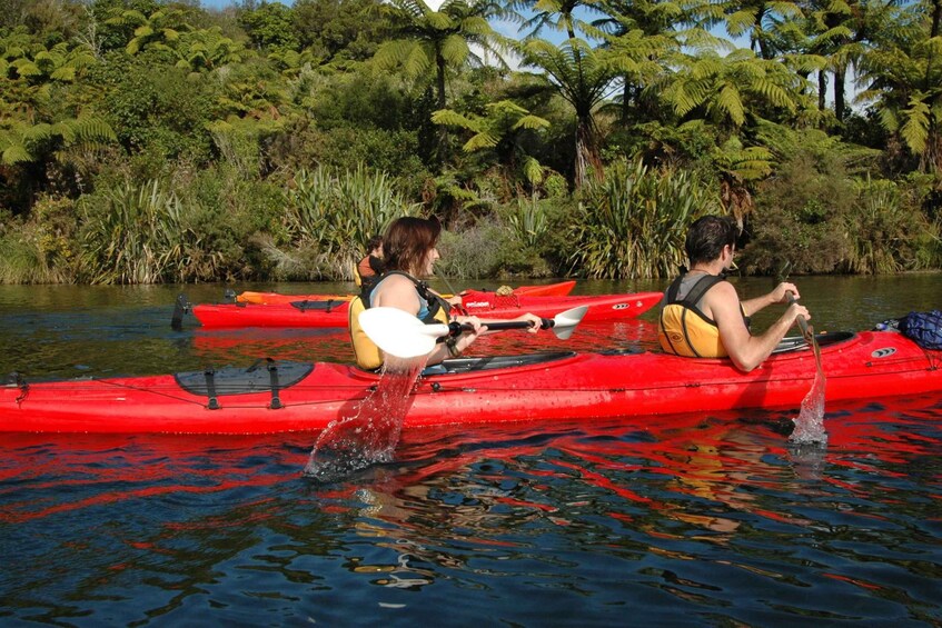 Picture 2 for Activity Lake Rotoiti & Hot Pools Guided Kayak