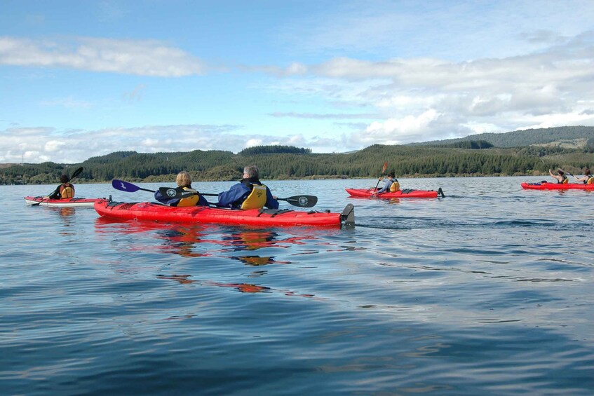 Picture 4 for Activity Lake Rotoiti & Hot Pools Guided Kayak