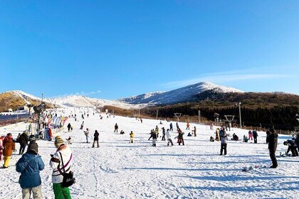 Kuju Forest Park Skiing Grounds Day Tour from Fukuoka