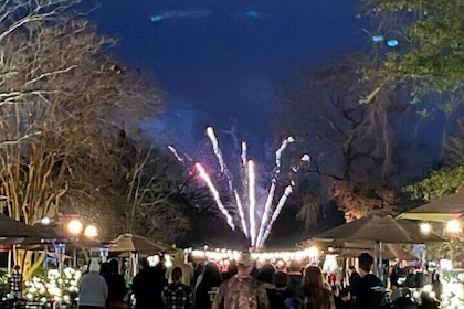 Grand Illumination-Group Christmas Holiday Tour Before Fireworks