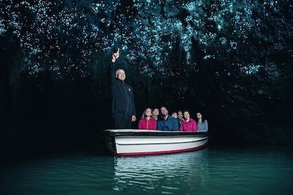 Auckland to Rotorua, Hobbiton and Waitomo 1 Way Small Group Tour