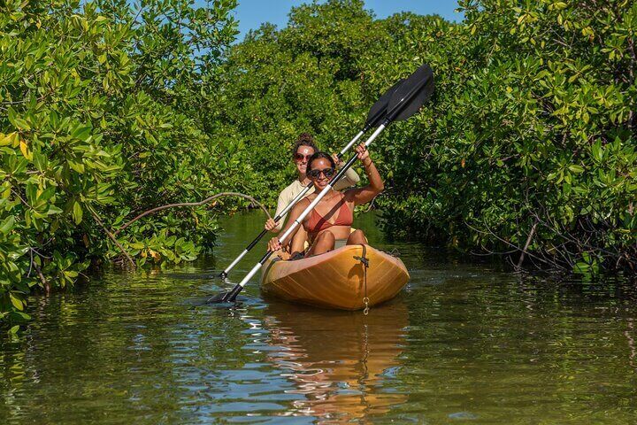 1 Hour Mangrove Kayak Tour