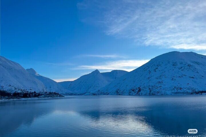 Whittier Cruise Shuttle Tour with Multiple Stops 