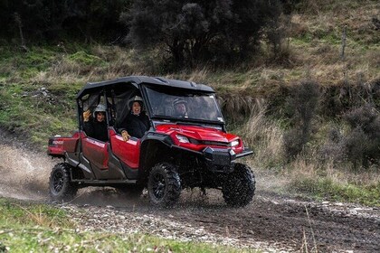Queenstown: Mountain Express – Ride Along Buggy Tour