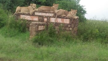 Half Day Sunrise Game-Drive of National Park
