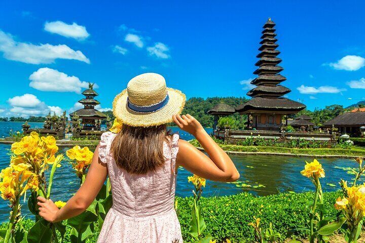 Jatiluwih Rice Terraces and Temple Private Day Tour from Ubud