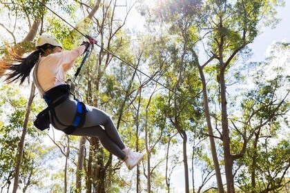 Treetop Challenge Adrenaline Pass