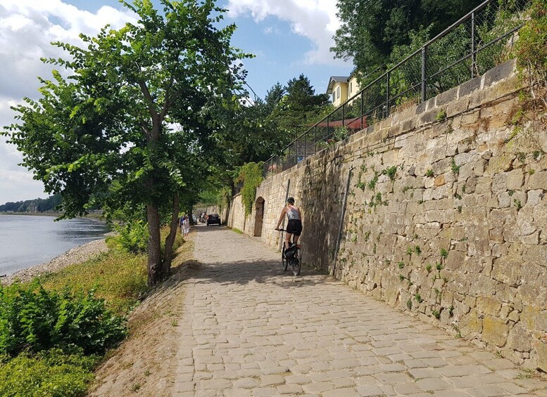 Picture 14 for Activity Dresden: E-Bike Tour and Dresden Heath Forest Trails