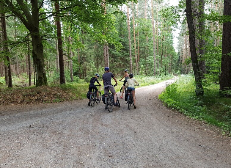 Picture 5 for Activity Dresden: E-Bike Tour and Dresden Heath Forest Trails