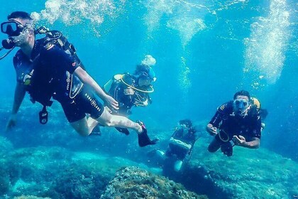 Personalized Diving and Snorkeling in Riviera Maya