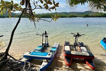 Siargao Sunset Paddle Board and Firefly Watching