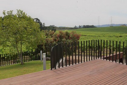 Premium wine tasting at Quinta das Arcas