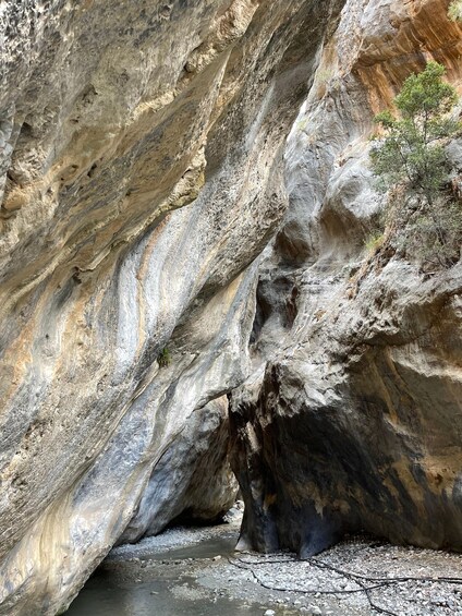 Picture 15 for Activity East Crete: Katharo Plateau and Sarakina Gorge SUV Tour