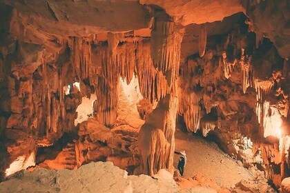 Thung Nham Bird Park, Bich Dong Pagoda, Legendary Caves Tour