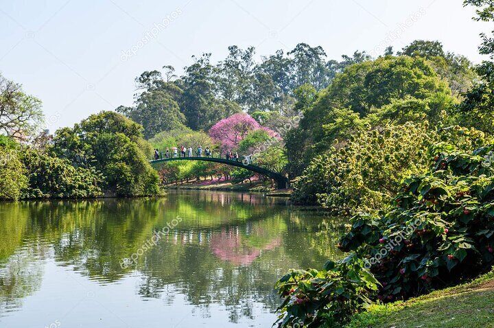 Shared tour of the tourist attractions of São Paulo