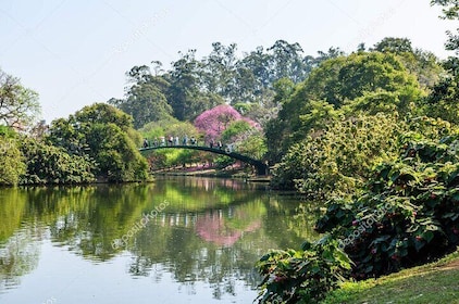 Shared tour of the tourist attractions of São Paulo